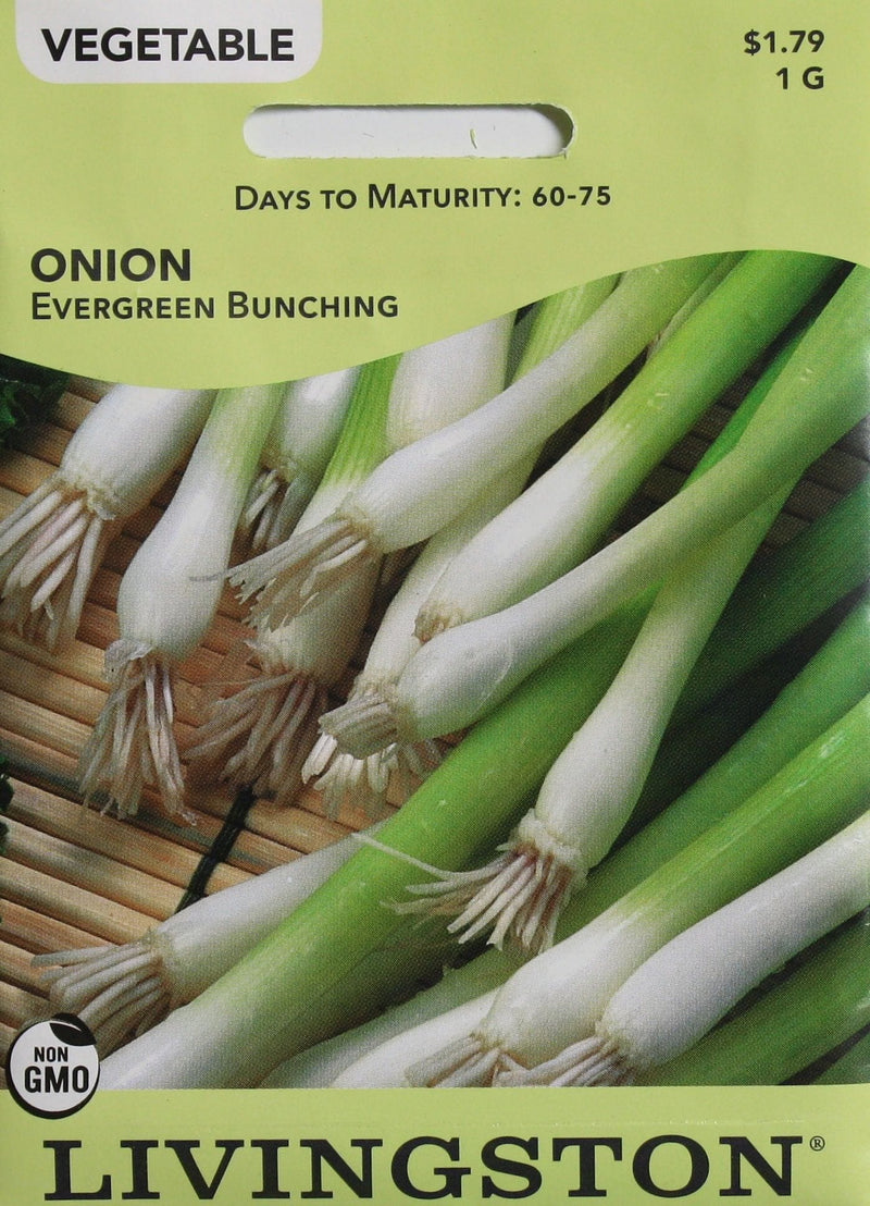 2021 Seed Packet - Onion - Evergreen (Bunching) - Shelburne Country Store