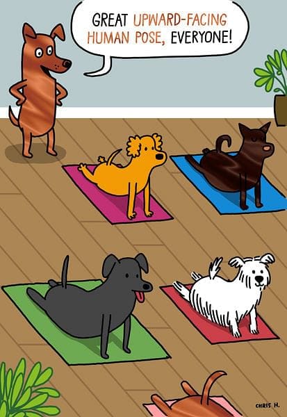 Dogs Doing Yoga Poses Funny Birthday Card - Shelburne Country Store
