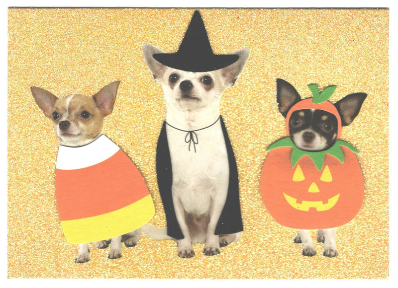 Chihuahuas in Costumes Halloween Card - Shelburne Country Store