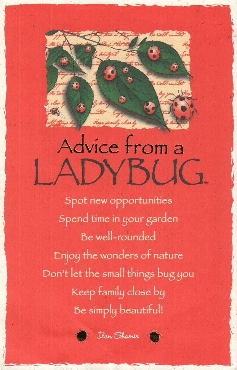 Oversize Postcard - Advice from a Ladybug - Shelburne Country Store