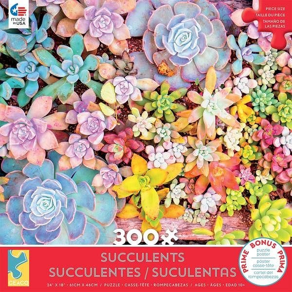 Succulents Puzzle  - - Shelburne Country Store