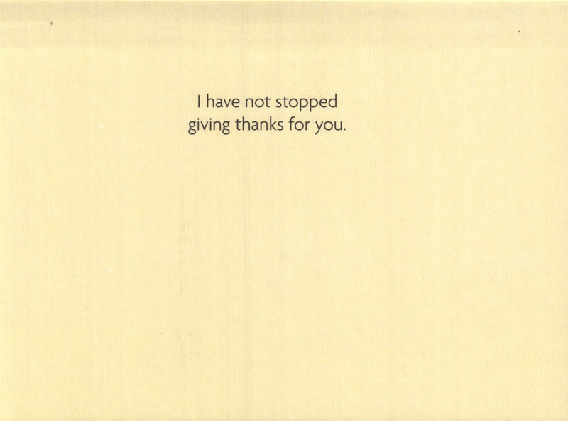 Thank You Card - Have Not Stopped - Shelburne Country Store