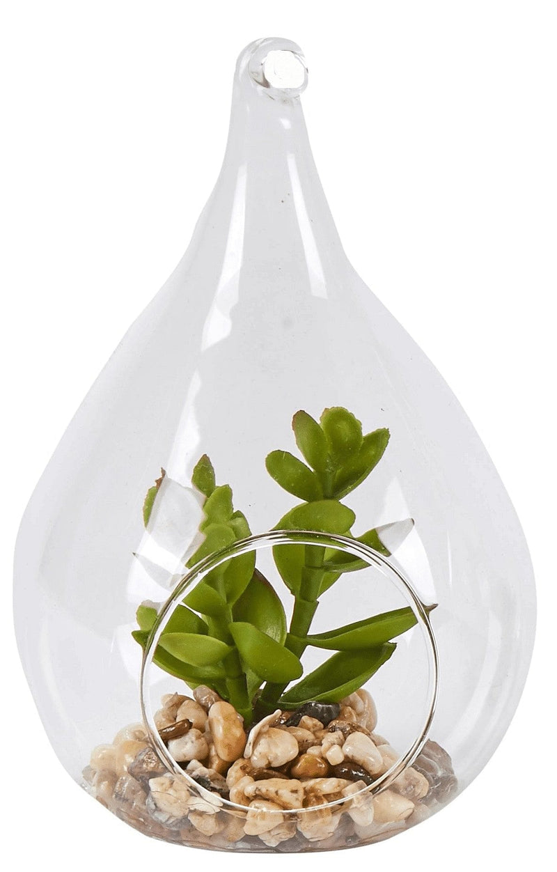 Glass Potted Faux Succulent - - Shelburne Country Store