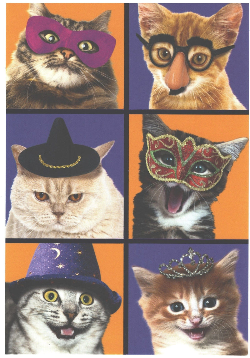 Cats in Costumes Halloween Card - Shelburne Country Store