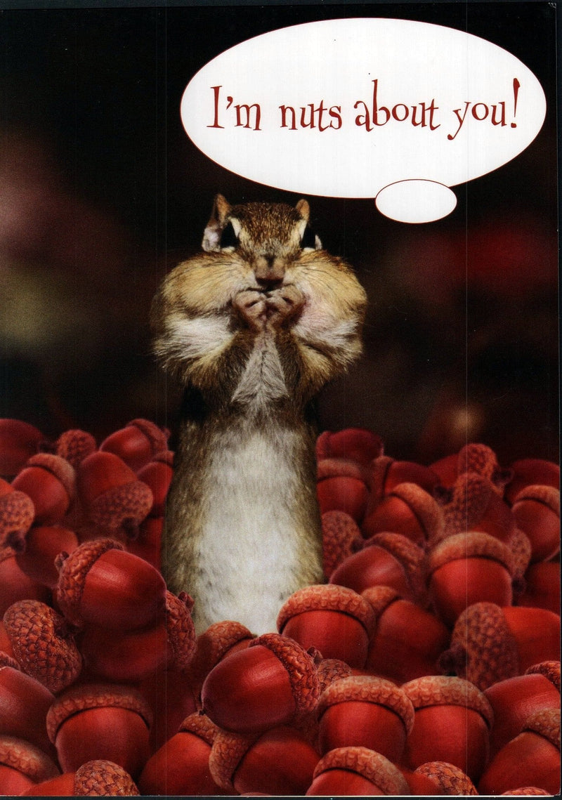 Nuts About you Valentine's Day Card - Shelburne Country Store