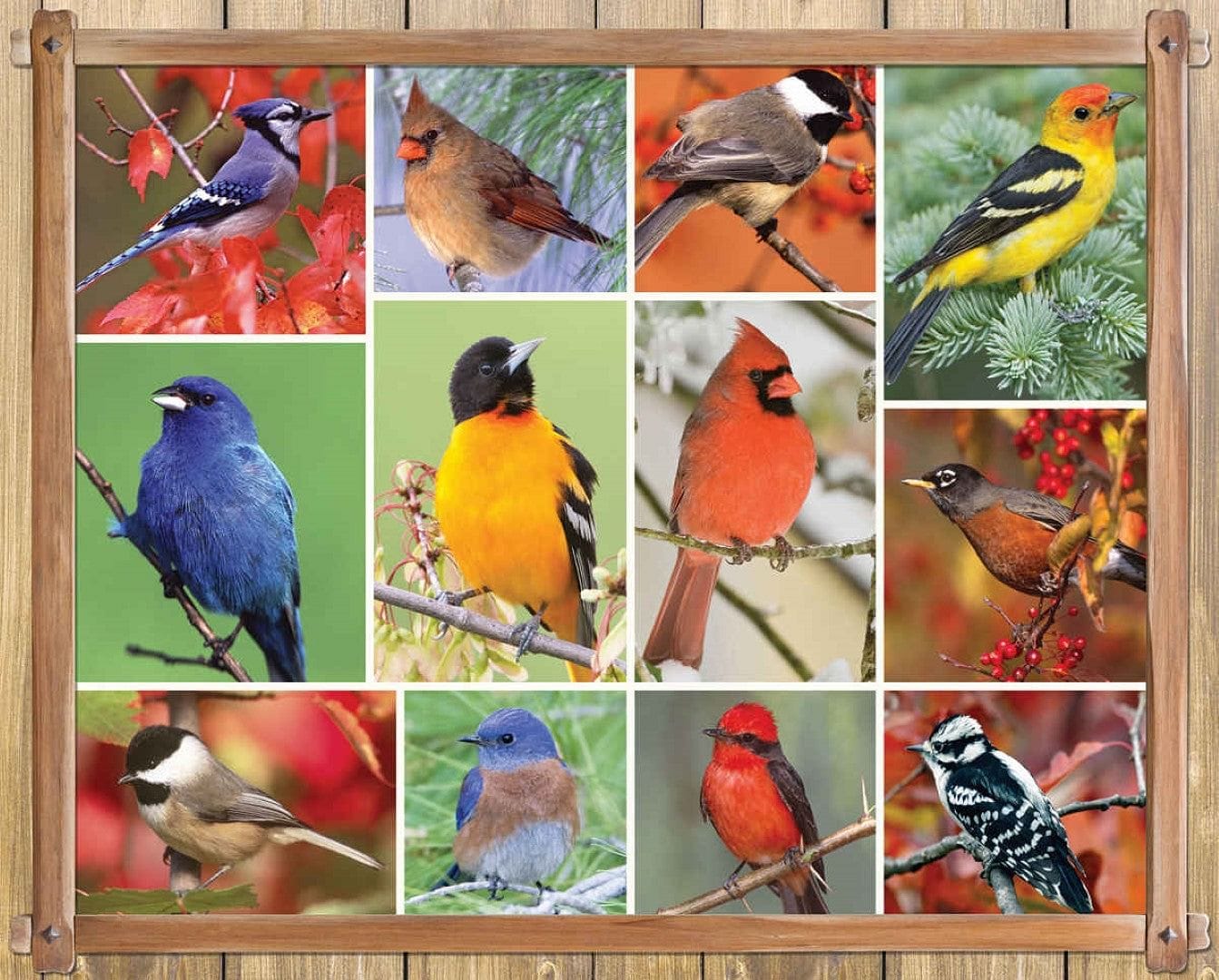 Songbirds - 1000 Piece Puzzle - Shelburne Country Store