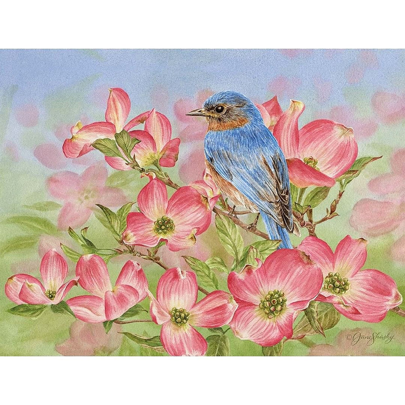 Bluebird of Happiness Notecards - Shelburne Country Store
