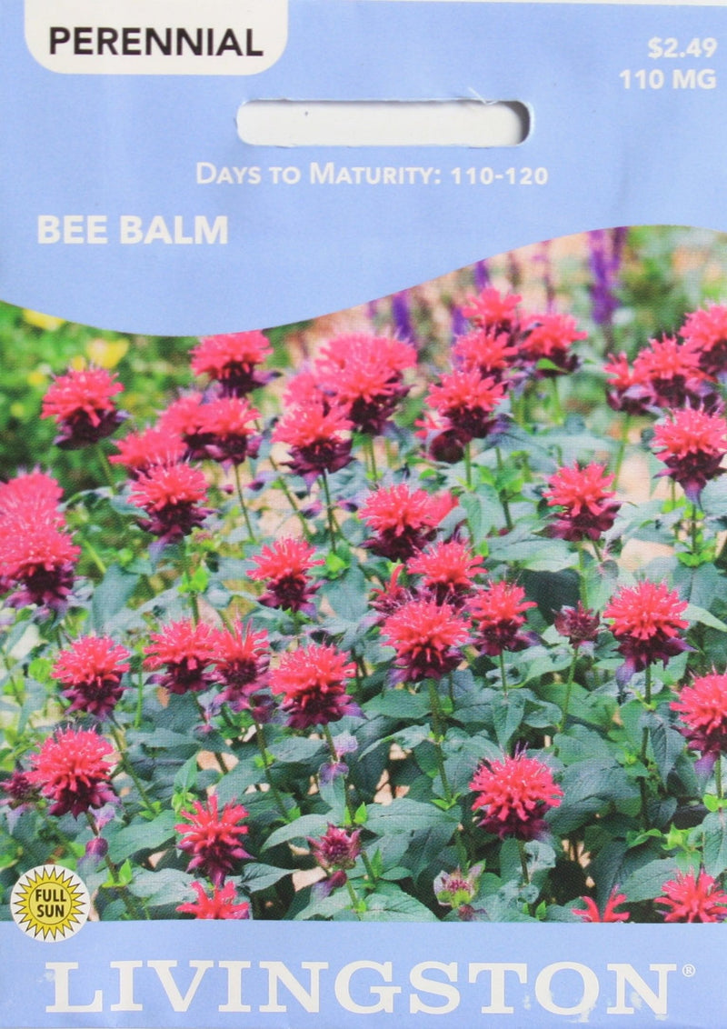 Seed Packet - Bee Balm - Shelburne Country Store