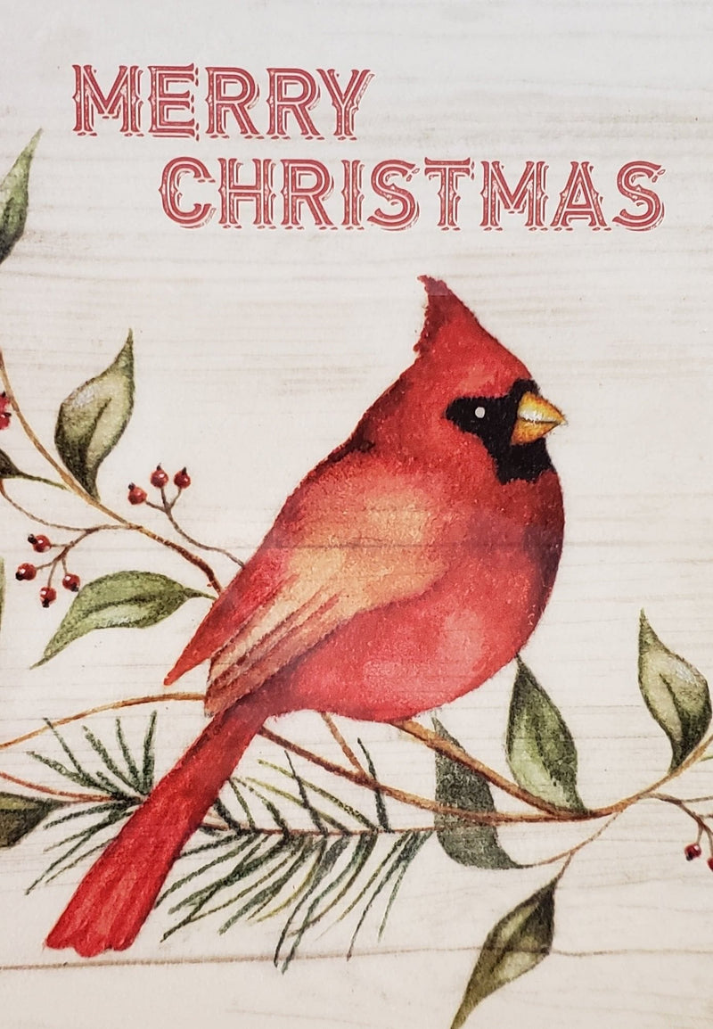 Countryside 20 Christmas Card Set - Christmas Cardinal - Shelburne Country Store