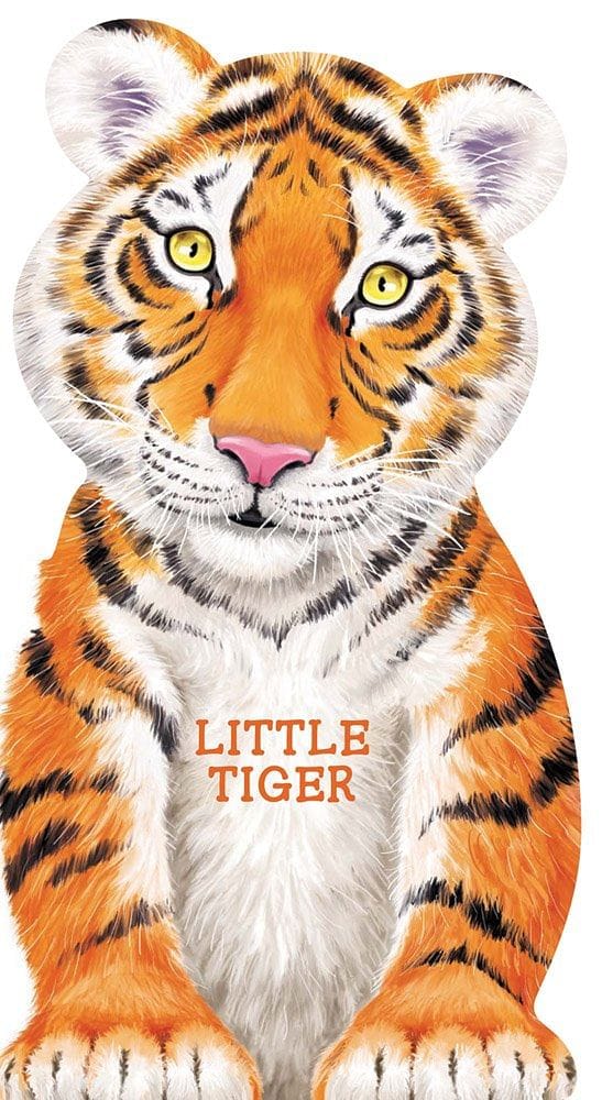 Look At Me Little Tiger Board Book - Shelburne Country Store