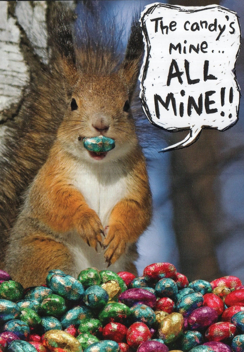 All Mine Squirrel Easter Greeting Card - Shelburne Country Store