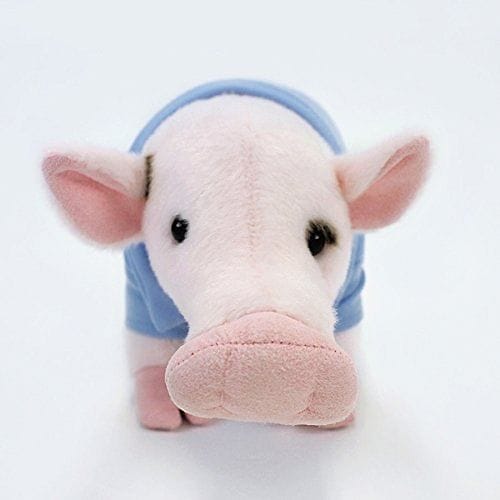 Gund Everyday Signature Pop Mini Pig Stuffed Animal Plush, 11 inch - Shelburne Country Store