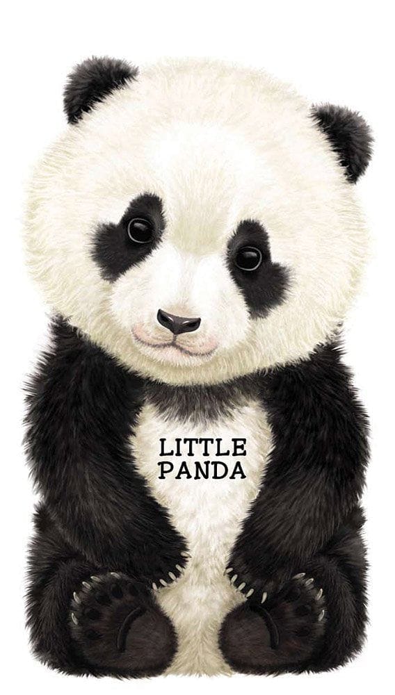 Look At Me Little Panda Board Book - Shelburne Country Store