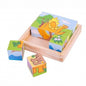 Dinosaur Cube Puzzle - Shelburne Country Store