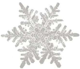 Snowflake Embossed Placecards - Shelburne Country Store