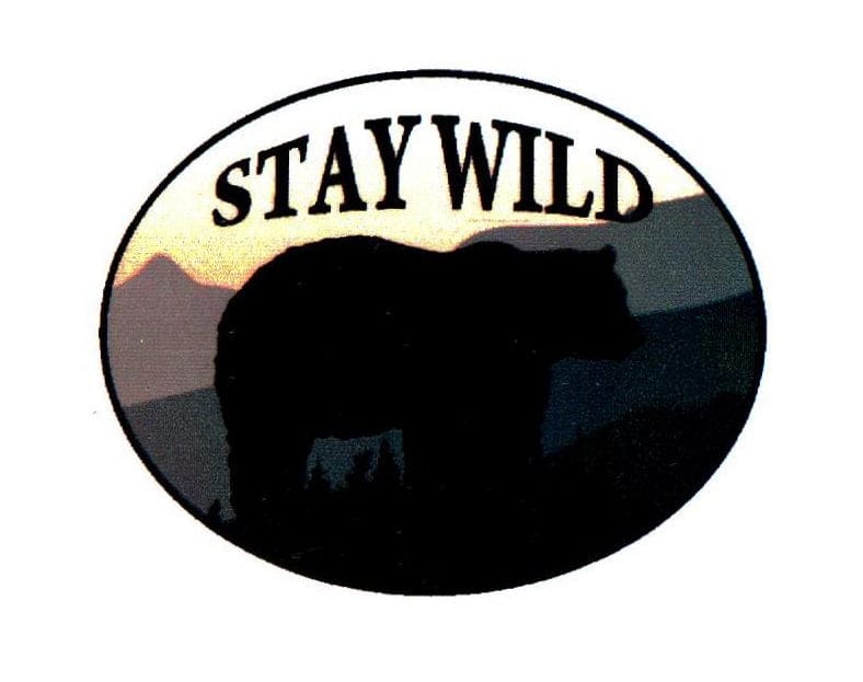 Stay Wild Bear Sticker - Shelburne Country Store