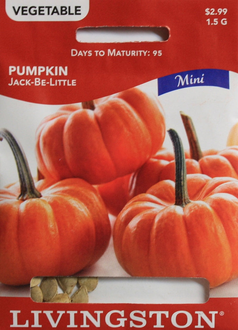 Seed Packet - Pumpkin - Jack-Be-Little - Shelburne Country Store