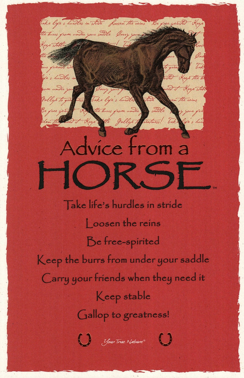 Oversize Postcard - Advice from a Horse - Shelburne Country Store