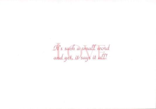 Greeting Card - Small Word Says It All - Shelburne Country Store