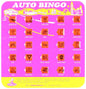 The Original Travel Bingo Game - - Shelburne Country Store