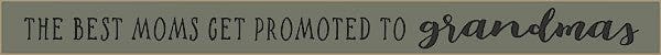 18 Inch Whimsical Wooden Sign - The best Moms get promoted to Grandmas - - Shelburne Country Store