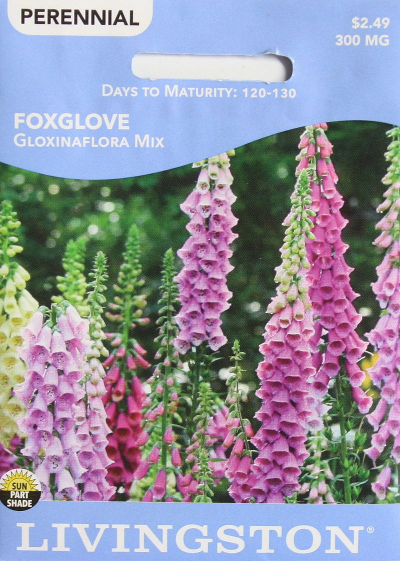 Seed Packet - Foxglove - Gloxinaflora Mix - Shelburne Country Store
