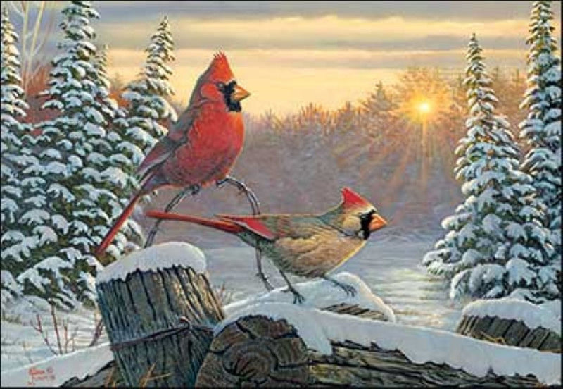 Cardinal Sunrise - Boxed Christmas Cards - Shelburne Country Store
