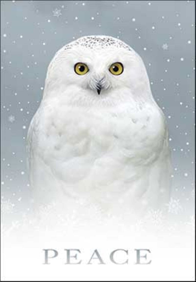 Peace Owl - Boxed Christmas Cards - Shelburne Country Store