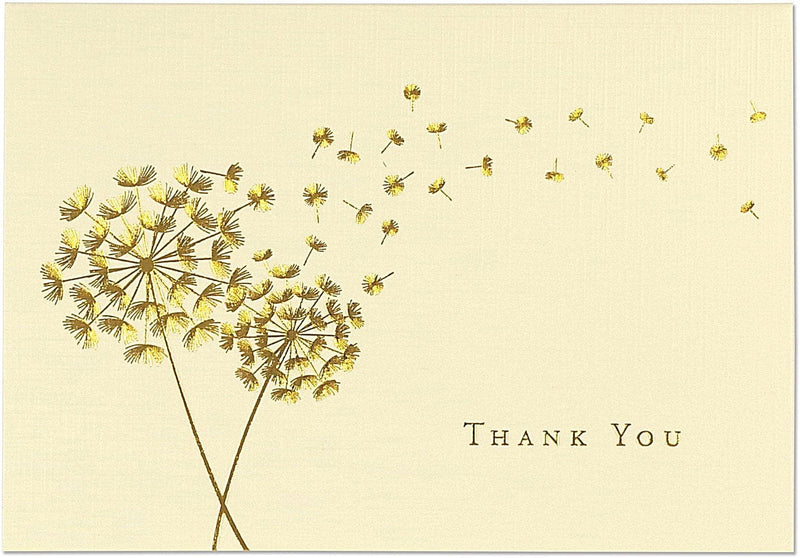 Dandelion Wishes Thank You Notes - Shelburne Country Store