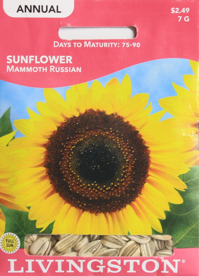 Seed Packet - Sunflower - Mammoth Russian - Shelburne Country Store