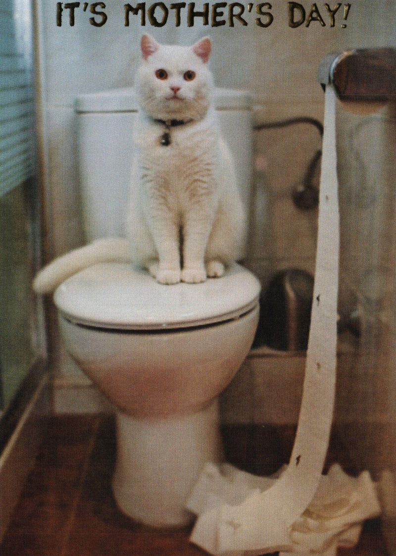 Cat On Toilet Mothers Day Card - Shelburne Country Store