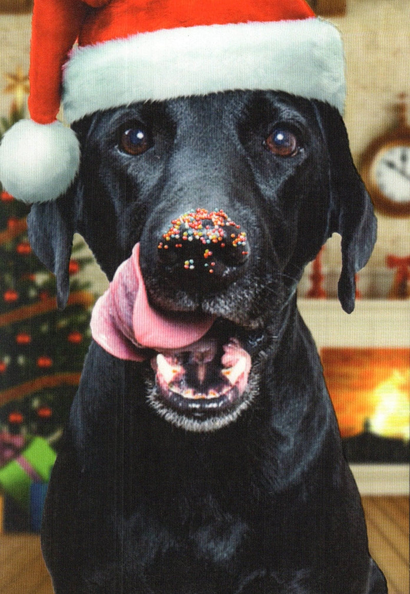 Black Lab With Sprinkles On Nose Christmas Card - Shelburne Country Store