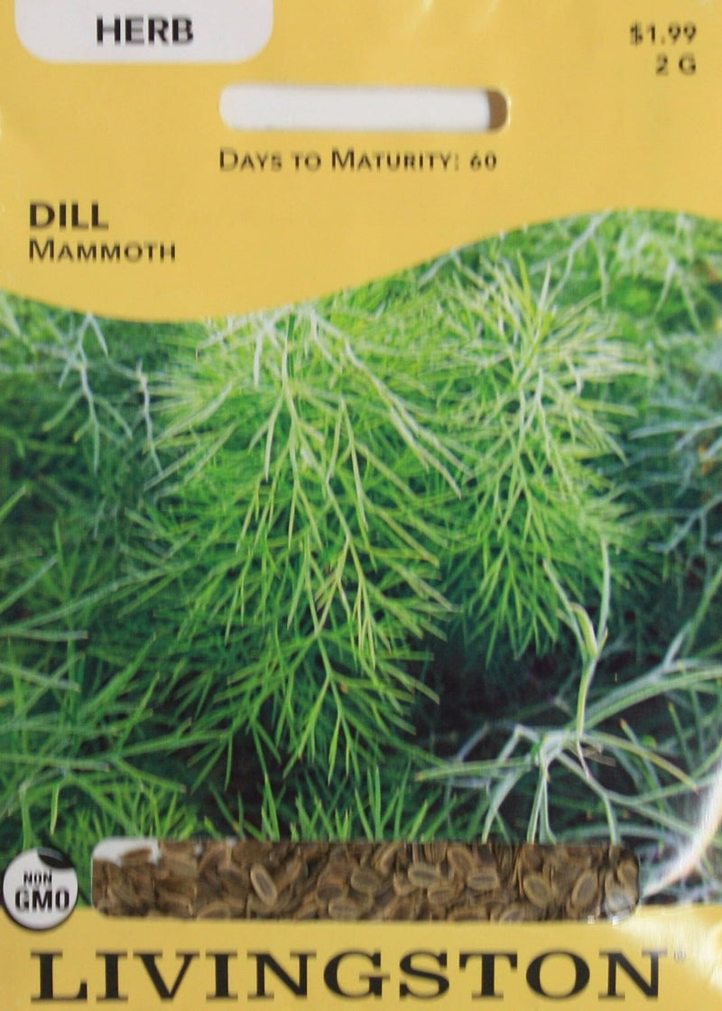 Seed Packet - Dill - Mammoth - Shelburne Country Store