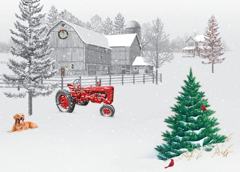 Box of 'Quiet Christmas' Christmas Cards - 15 Cards & 16 Foil Envelopes - Shelburne Country Store