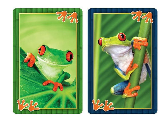 Amphibious Friends - Jumbo Card Set - Shelburne Country Store