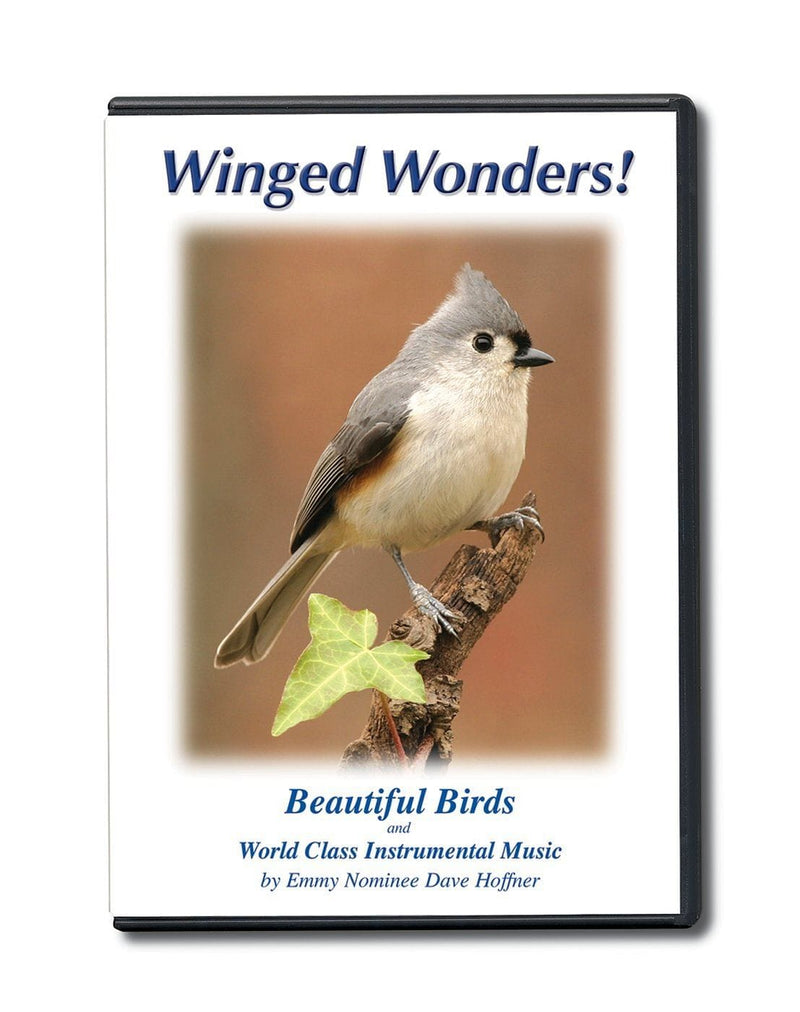 Winged Wonders Beautiful Birds DVD - Shelburne Country Store