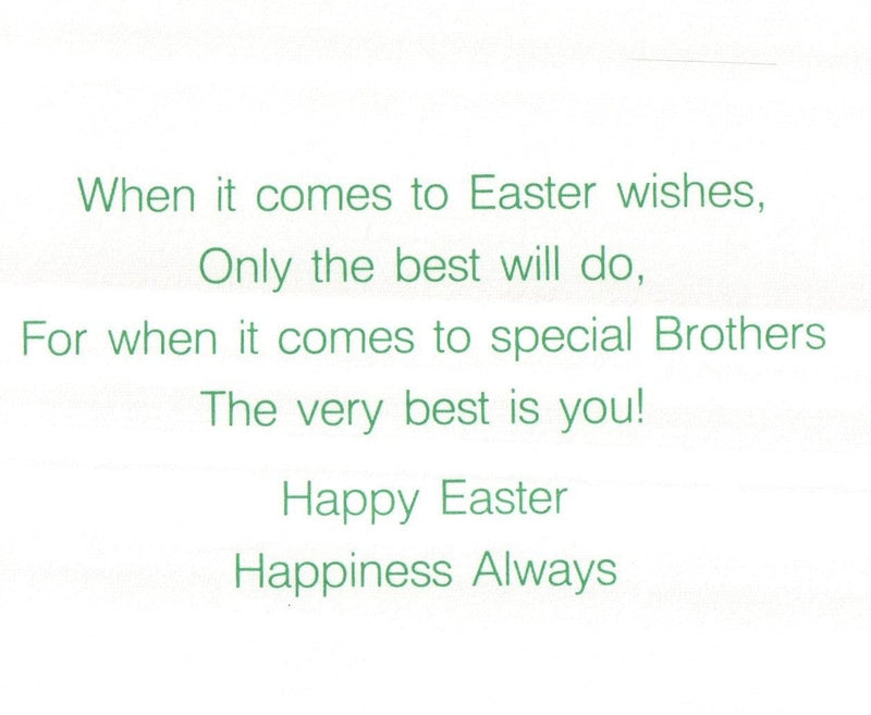 Special Brother at Easter Card - Shelburne Country Store