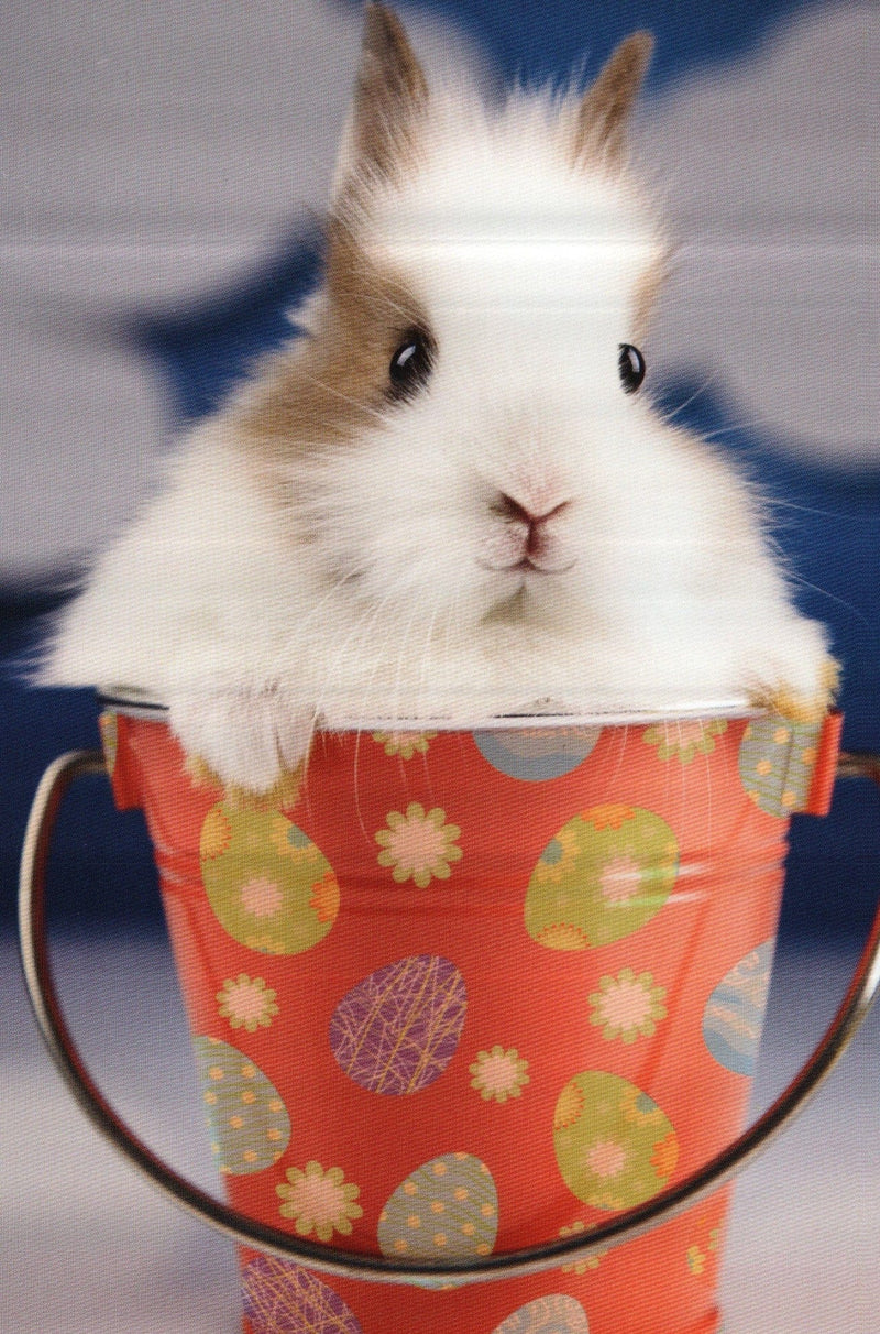 Bunny in Bucket Easter Greeting Card - Shelburne Country Store