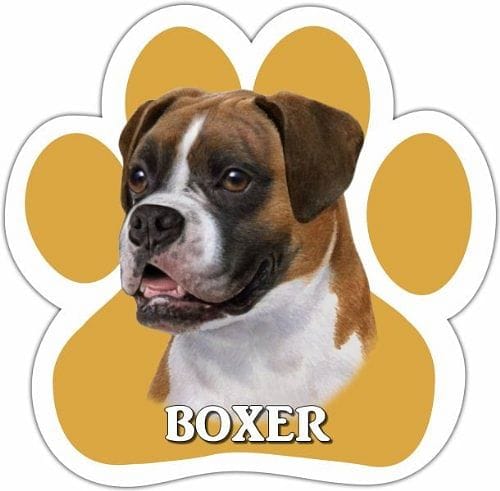 Boxer Uncropped Magnet - Shelburne Country Store