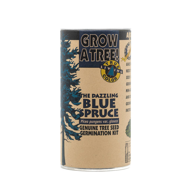 Living Christmas Tree | Seed Grow Kit - Blue Spruce - Shelburne Country Store