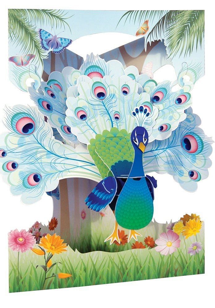 Peacock - Swing Card - Shelburne Country Store