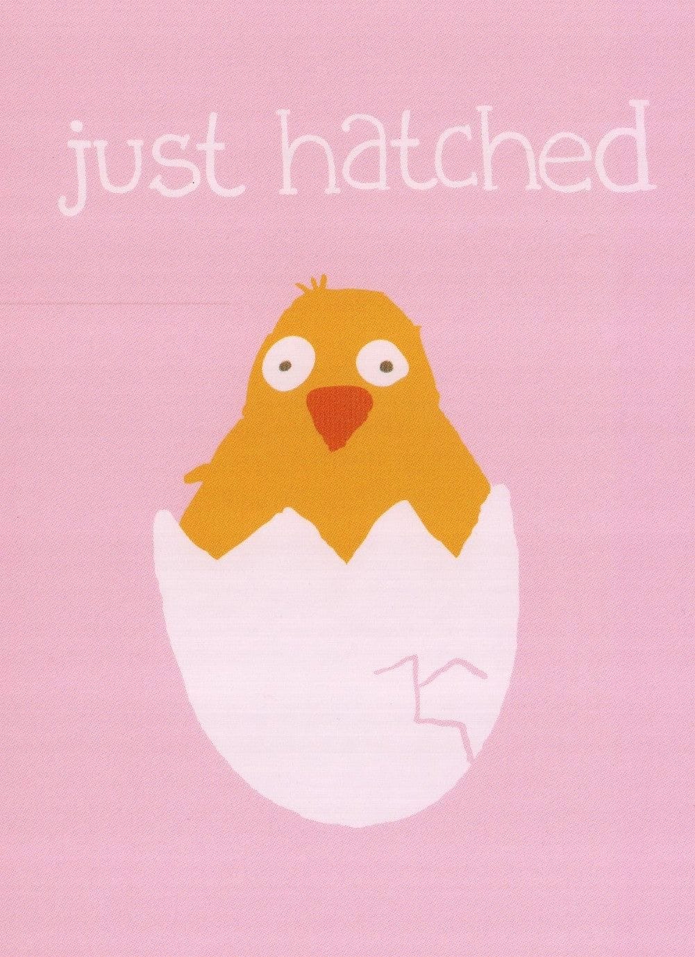 Greeting Cards- Just Hatched - New Baby - Shelburne Country Store