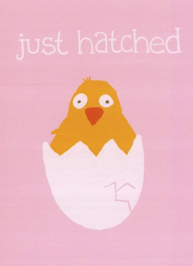 Greeting Cards- Just Hatched - New Baby - Shelburne Country Store