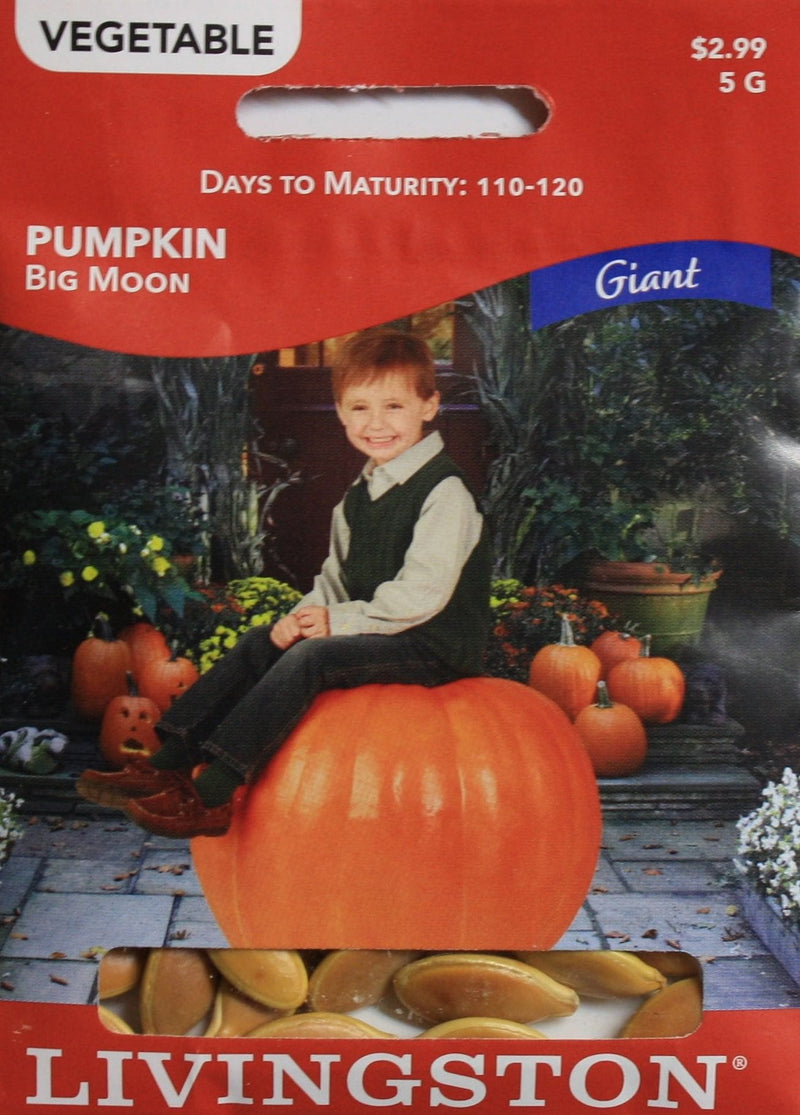 Seed Packet - Pumpkin - Big Moon - Shelburne Country Store