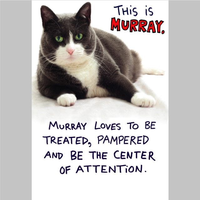 Murray Birthday Card - Shelburne Country Store