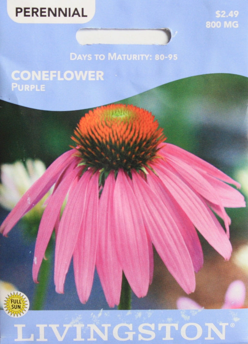 Seed Packet - Coneflower - Purple - Shelburne Country Store