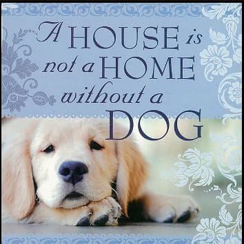 A House Is Not A Home Without A Dog Sentiment Tea - Shelburne Country Store