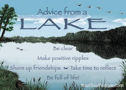 2.5  x 3.5 Magnet  Advice From   - - Shelburne Country Store