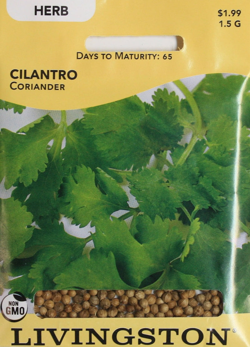 Seed Packet - Cilantro/Coriander - Shelburne Country Store