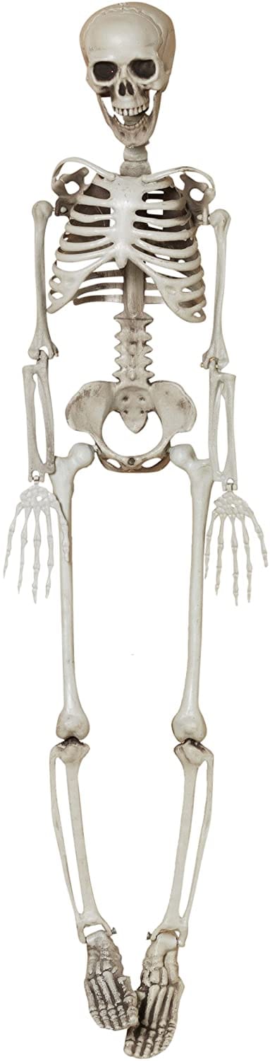 Hanging Plastic Skeleton - 3 Feet Tall - Shelburne Country Store